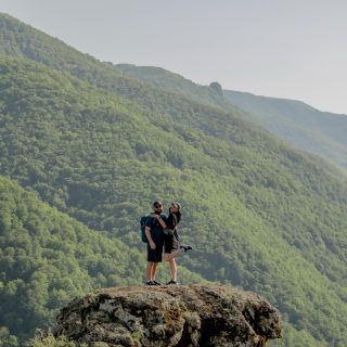 niseqala-turu