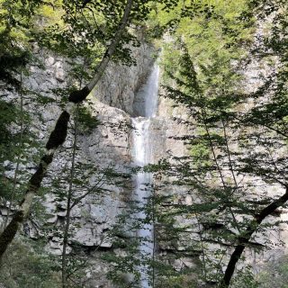 quruchay-shelalesi-turu