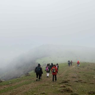 toradi-gelinqaya-turu
